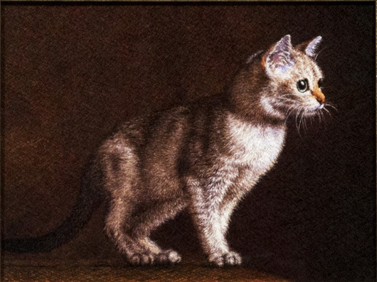 WEB0116-00154