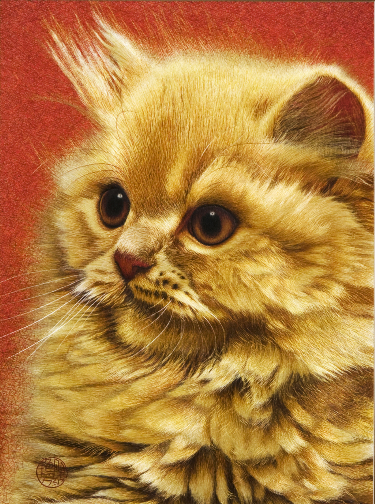 貓