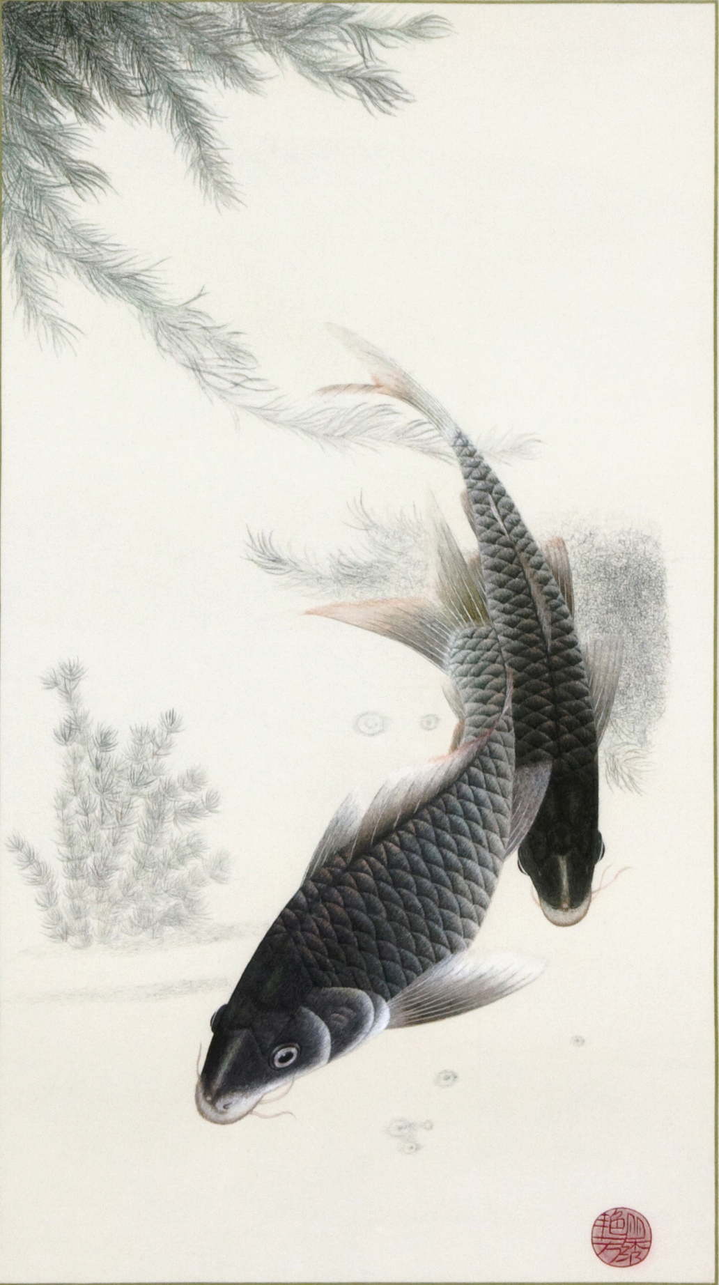 雙鯉魚