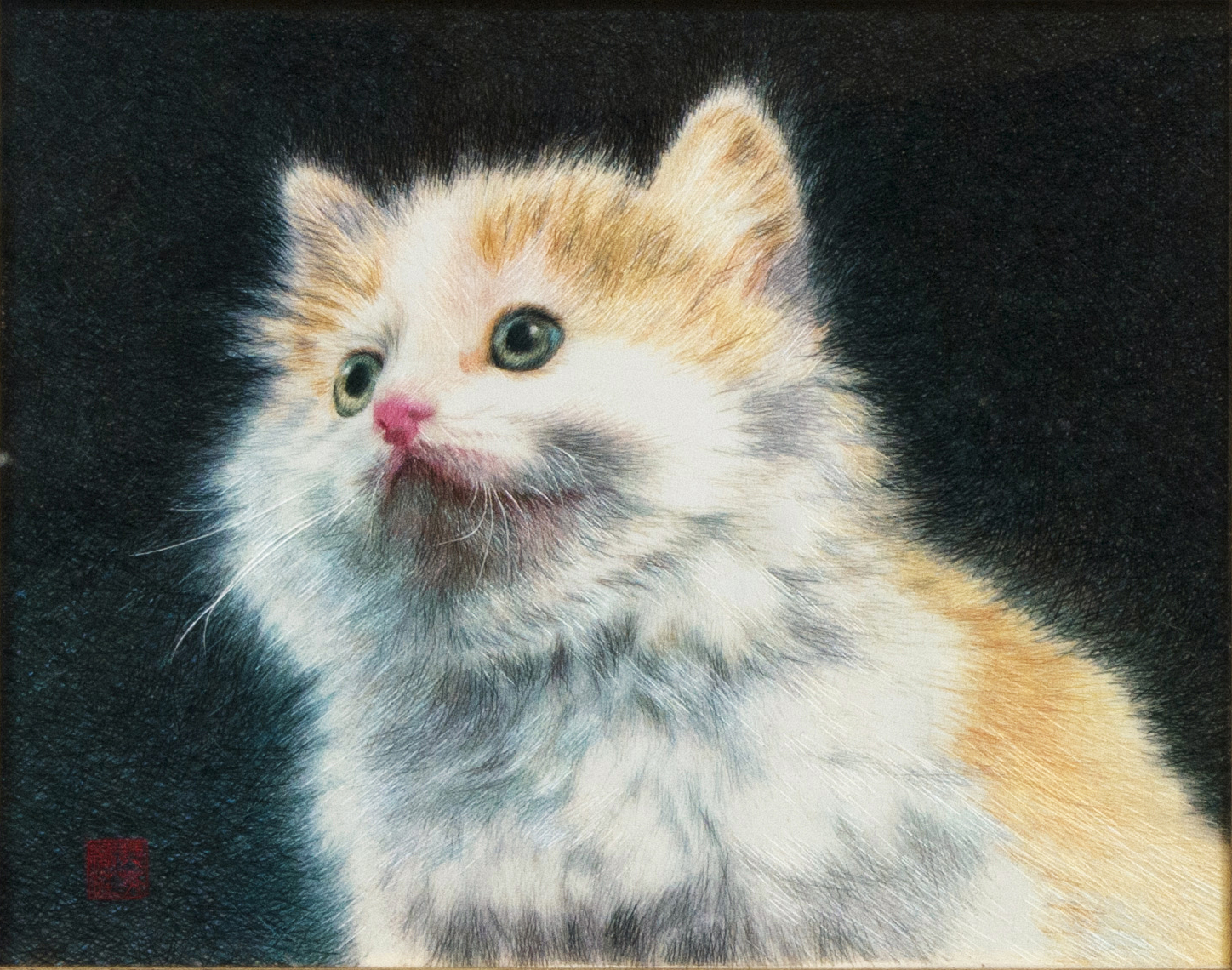 貓
