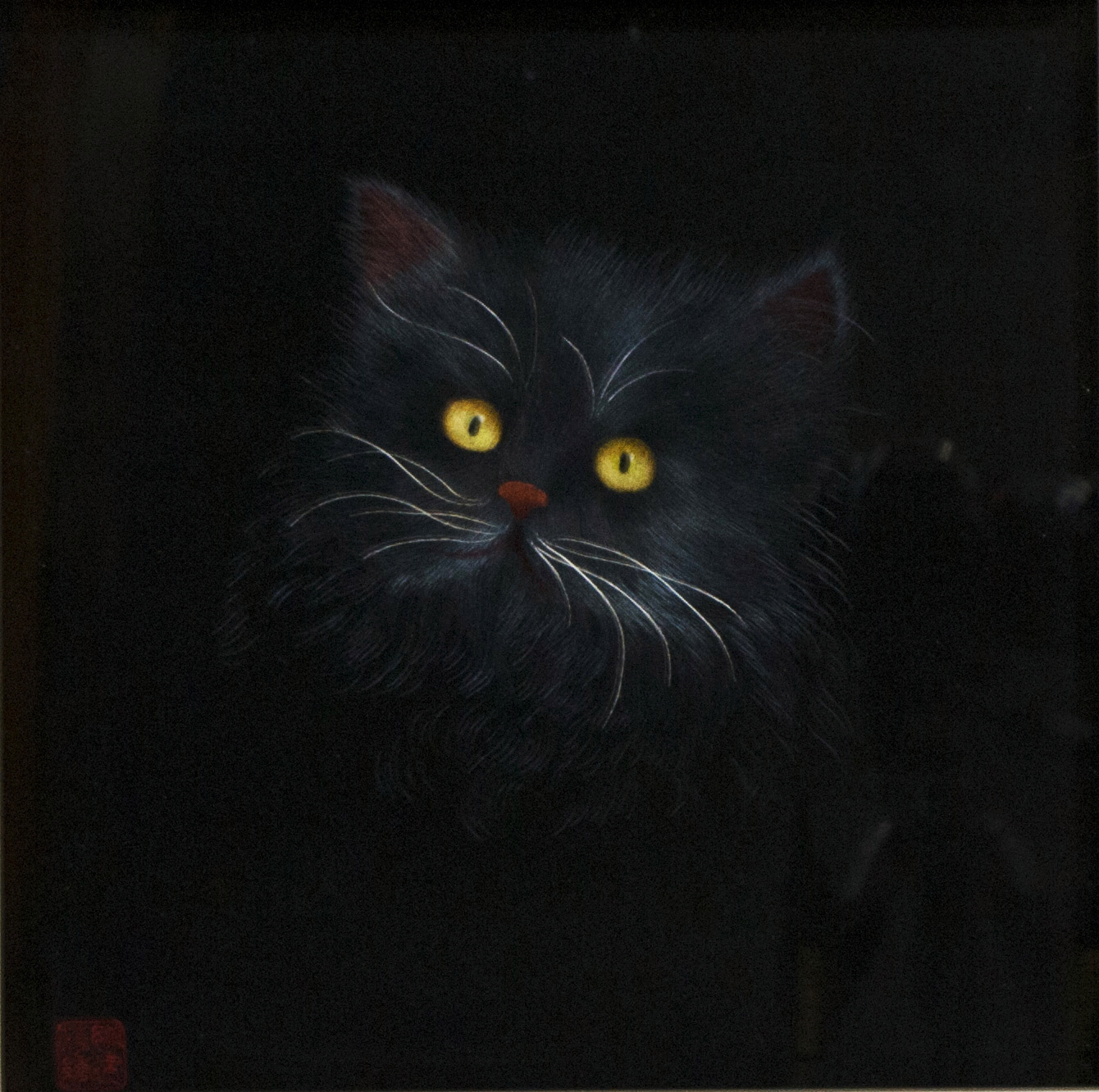 貓