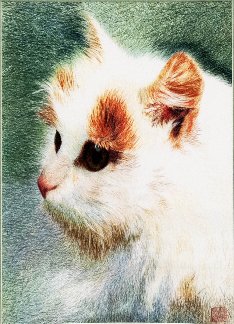 貓