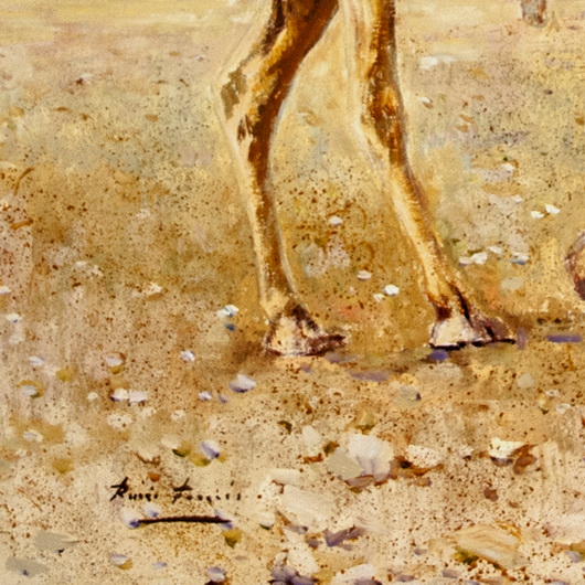 CHILDRENS CAMEL