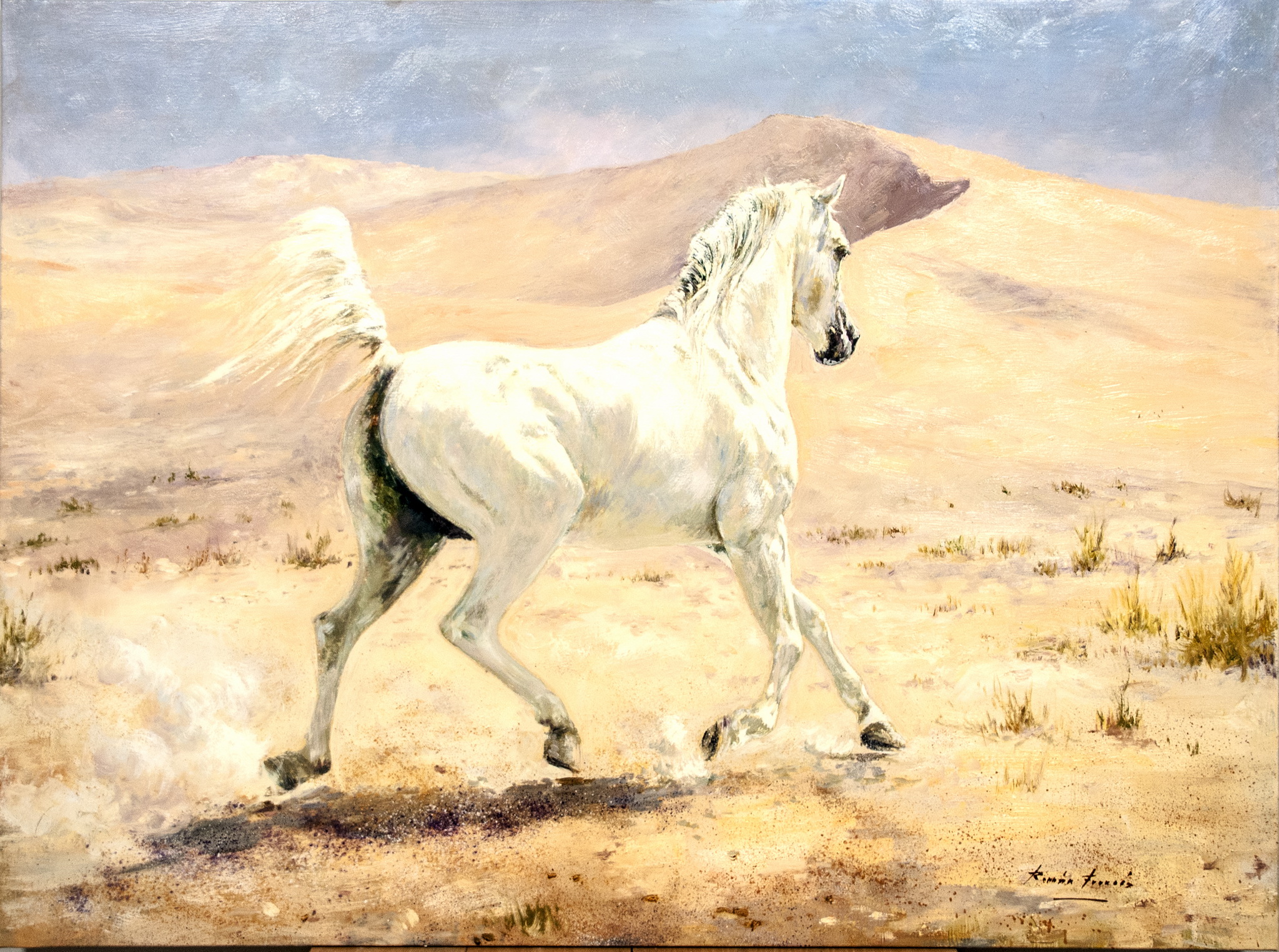 HORSE AND DESERT