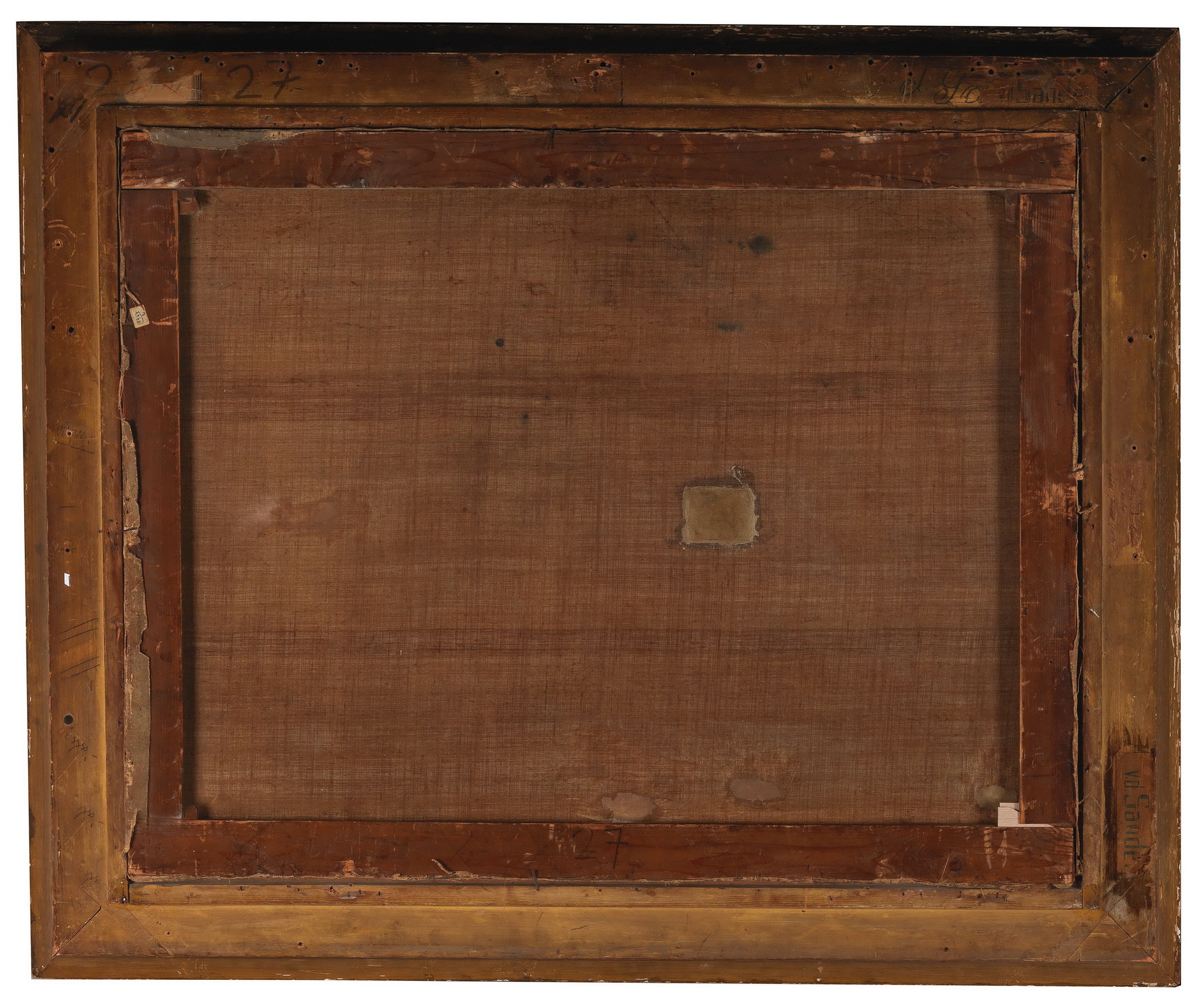 在廣闊的景觀前放牧牛群